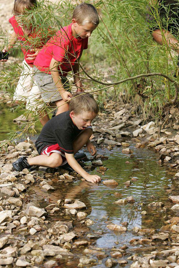 Get Kids Outdoors to Improve Mental and Physical Well-being