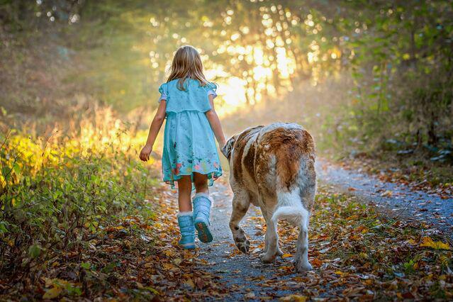 Dogs May Be Good for Your Child's Development